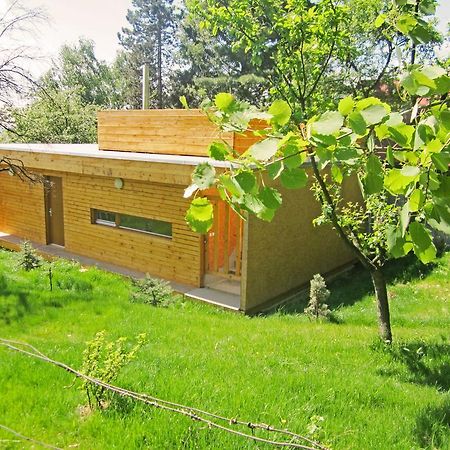 Vacation Home Pani Haje Moravany  Екстериор снимка