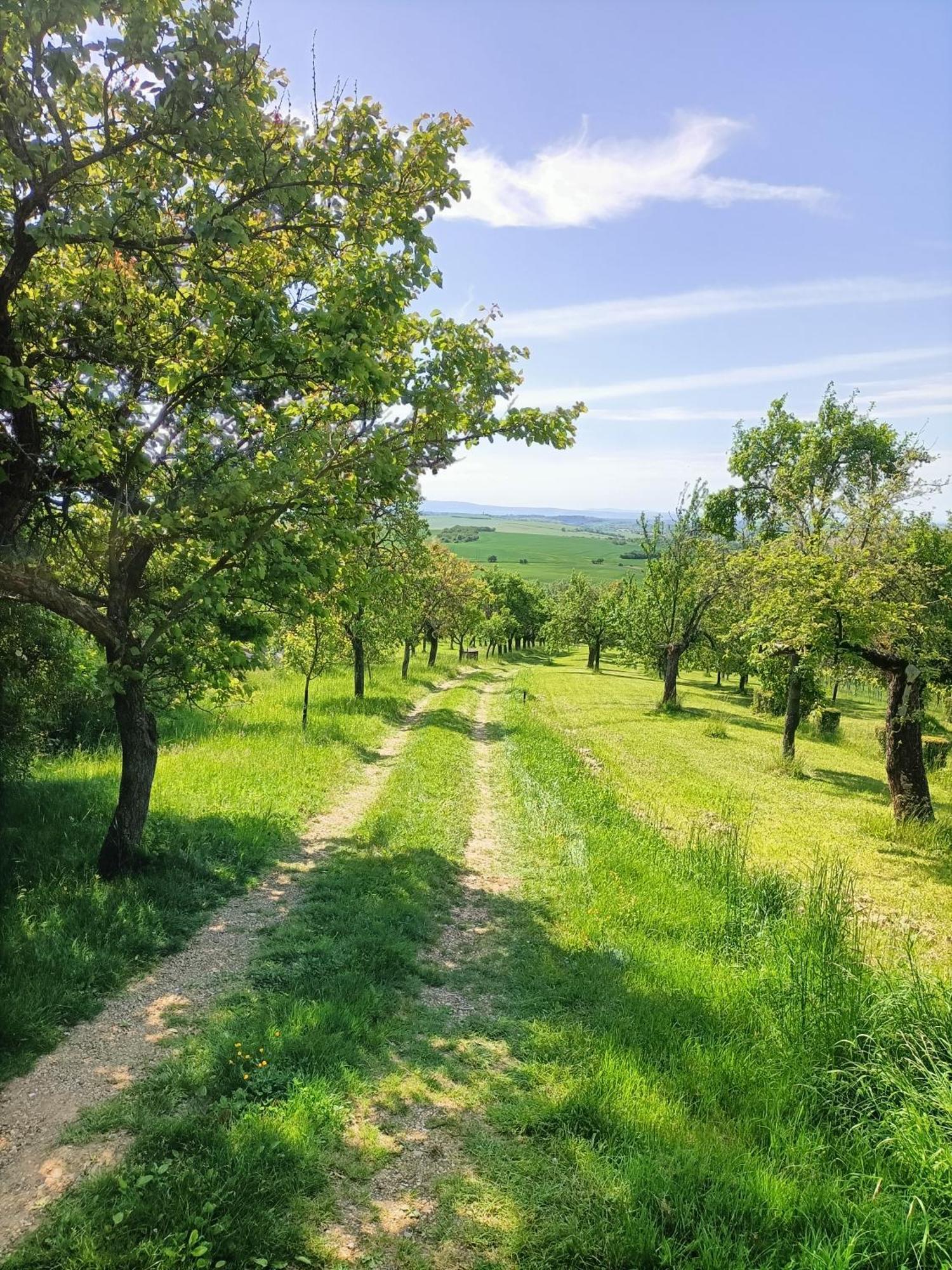 Vacation Home Pani Haje Moravany  Екстериор снимка